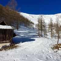 Aufstiegsweg zum Mallnock im Bereich Schönfeld