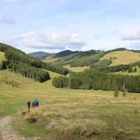Sommeralm_Naturpark Almenland_Oststeiermark