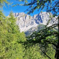 Ausblick vom Aufstiegsweg hinüber zur Wetterspitze und Plattspitze (Zugspitzmassiv) durch herrlichen Lärchenwald.