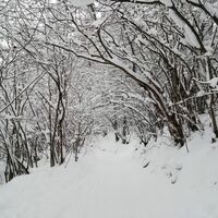 Strada del Vivier