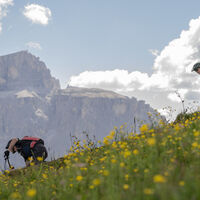 Icarus - Fassa Bike Park Campitello - ©Archivio APT Val di Fassa