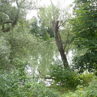 Donauradweg - Aulandschaft nach Ulm
