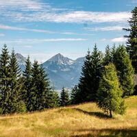Nocheralm