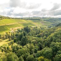 Ruwer-Hochwald-Radweg 5