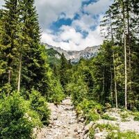 Blick in die Haller Mauern