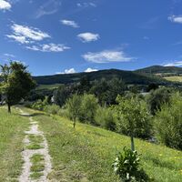 Ab Ortsgebiet Reichenau gibts dann einige Varianten. Diese Route führt weiter entlang der Schwarza ins Ortszentrum von Reichenau an der Rax.
