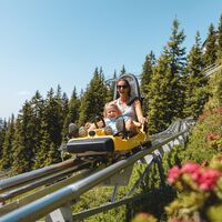 Alpbachtaler Lauser-Sauser zur Almrosenblüte