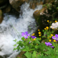 Wasserkessel Schleifmühlklamm