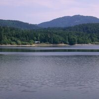 Forstsee