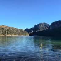 Alpsee mit Neuschwanstein
