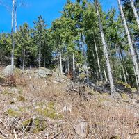 zu den Burgsteinberggipfeln