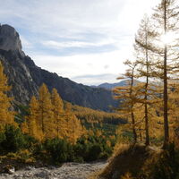 goldig - schön im Lärchen Märchental