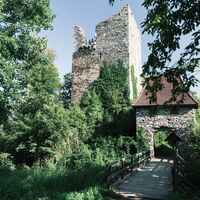 Burgruine Haichenbach