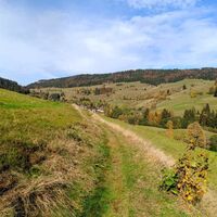 Vom Kirchenberg fällt der Blick zum Hochkopf