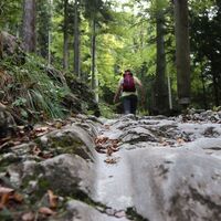 Prügelweg bei der Bärenschützklamm_Mixnitz_Oststeiermark