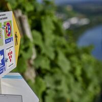 Sommer Mundelsheim Wanderwegebeschilderung