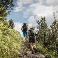 Auf die Mödlingerhütte