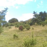 Larris-Berg von Montenoy-02