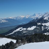 Schneeschuhtrail Selibüel-Panoramatrail