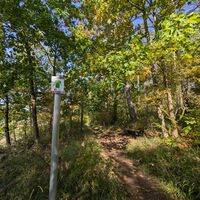 Beschilderung auf VitalWeg 7 und 22 im Herbst 