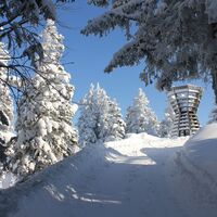 Aufstieg zum Prodkopf
