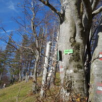 Übergang am Kamm Linsberg/Stadelberg
