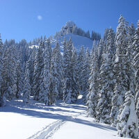 Schneeschuhwanderung Laber - Ettaler Manndl