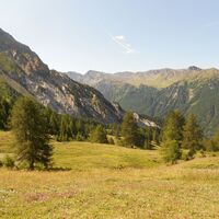 Sentiero Anello Cima Bosco