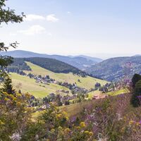 Blick auf Todtnauberg