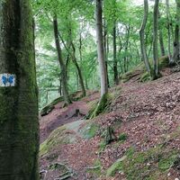 Über Stock und Stein