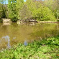 nochmal Entenweiher