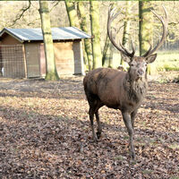 Wildgehege Troisdorf