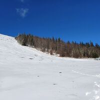 4.5 km Unterberg Schutzhaus mit Piste