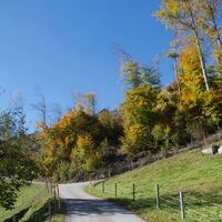 Weg vor Ried - Schwarzwasser-Sense-Schluchtenweg Etappe 1