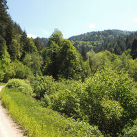 Schöne Aussicht