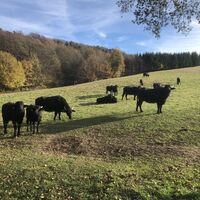 Blick zum Ölbachgrund