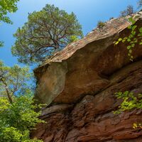 Bauwalder Felsen am Münchweiler Höhenwanderweg