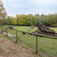 Wild- und Wanderpark Weiskirchen
