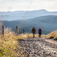 Wandern am Feldbergsteig