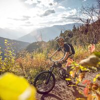 Biker auf dem Mayentset-Bike oberhalb von Conthey