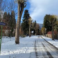 Alleegasse