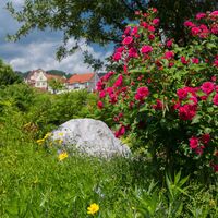 Volkshauspark Frohnleiten
