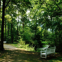 Der Forstgarten in Kleve