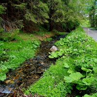 Arnsbachtal
