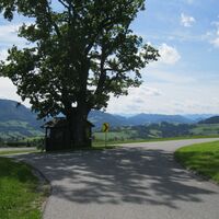 Scheibbs - Waidhofen a. d. Ybbs