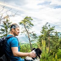 Pfaffenkogelsteig-Wandern