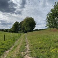 Leininger Klosterweg