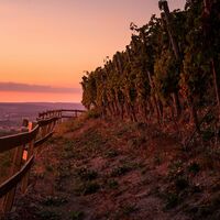 DSGVO Neckarsulm Ausblick vom Scheuerberg Photoguides 9