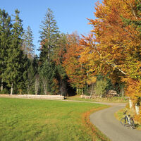 Herbstliche Stimmung