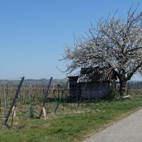 Hiatahütte mit Herzerlklo